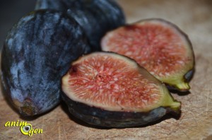 La figue fraîche, une bouffée de vitamines pour nos perroquets