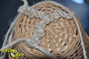 Fabriquez un jouet pour perroquets avec un panier, du bois et du sisal (macramé)