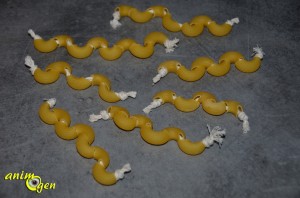 Fabrication de jouets de pâtes pour nos perroquets et rongeurs