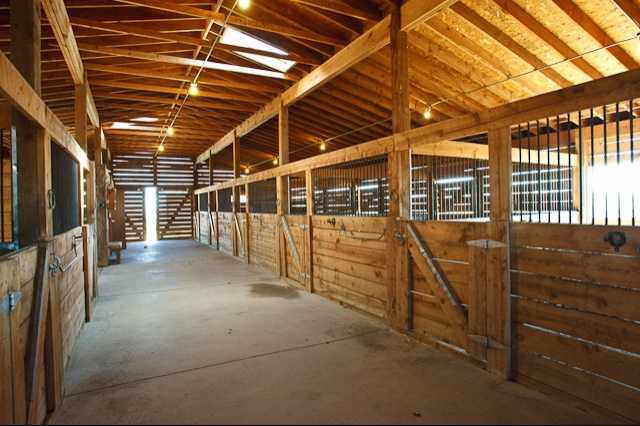 Equitation : loger son cheval