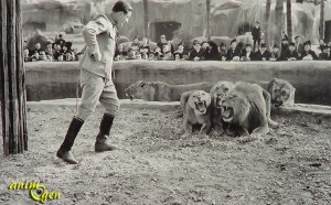 Du zoo de Vincennes au Parc zoologique de Paris, un glissement de perspective