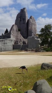 Du zoo de Vincennes au Parc zoologique de Paris, un glissement de perspective