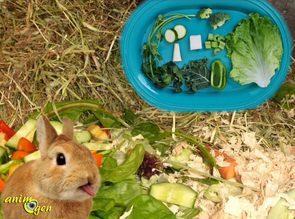 Riga - Mix Snack Aux Fruits - Aliment Complémentaire Pour Rongeurs