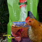 Aliment pour poules : Mucki Premium (composition, test, avis, prix)