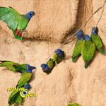 Alimentation et santé : les perroquets ont-ils besoin de gruger de l'argile en captivité ?