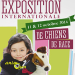 Exposition Internationale de Chiens de race à Orléans (45), du samedi 11 au dimanche 12 octobre 2014