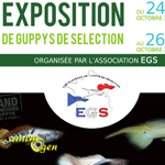 Exposition de guppys de sélection à Arcueil (94), du samedi 25 au dimanche 26 octobre 2014