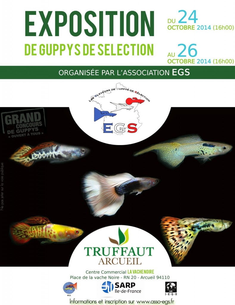 Exposition de guppys de sélection à Arcueil (94), du samedi 25 au dimanche 26 octobre 2014