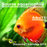 Bourse aux poissons en Arles (13), le dimanche 19 octobre 2014