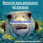 Bourse aux poissons et coraux à Evian les Bains (74), le dimanche 05 octobre 2014