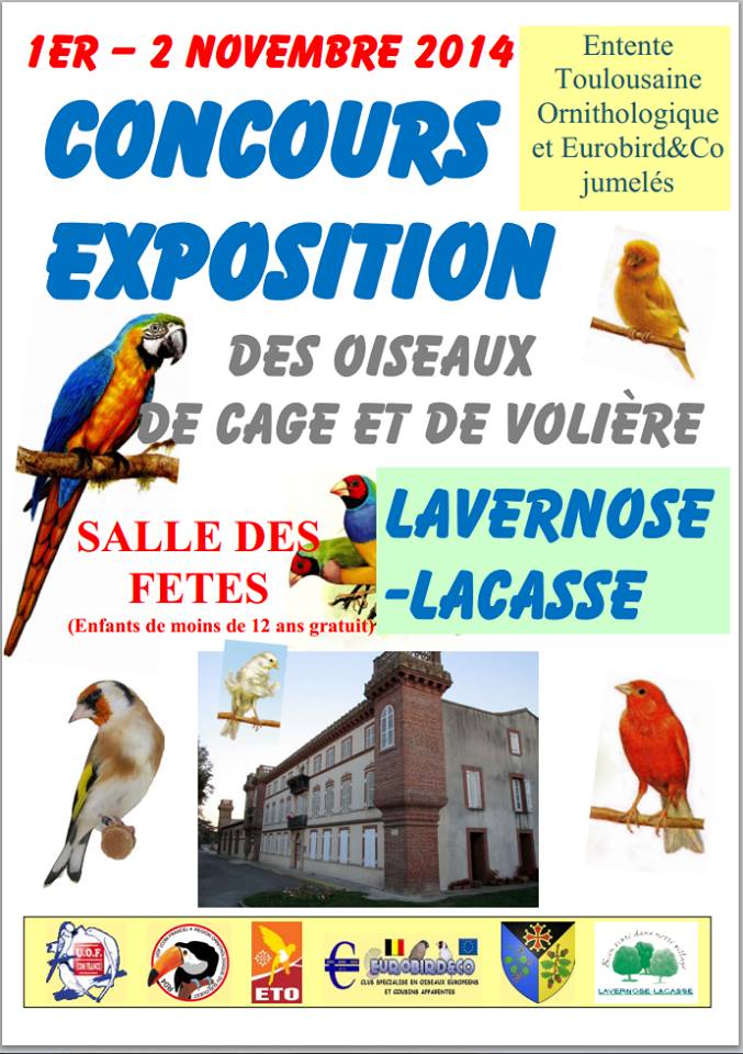 Concours- Exposition d’oiseaux de cage et de volière à Lavernose-Lacasse (31), du samedi 01 er au dimanche 02 novembre 2014