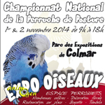 Expo Oiseaux, Championnat National de la Perruche de Posture à Colmar(68), du samedi 01 er au dimanche 02 novembre 2014