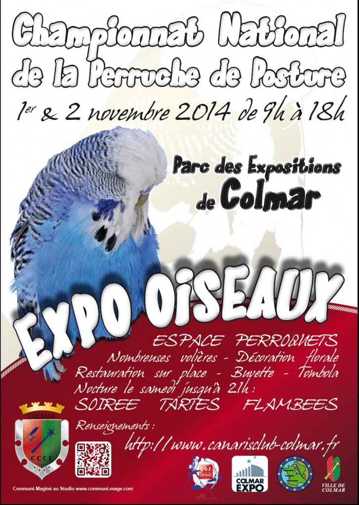 Expo Oiseaux, Championnat National de la Perruche de Posture à Colmar(68), du samedi 01 er au dimanche 02 novembre 2014