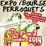 Expo/Bourse Perroquets à Weitbruch (67), du samedi 1 er au dimanche 02 novembre 2014