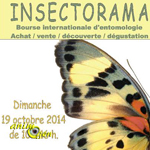 30 ème Bourse Internationale d’Entomologie « Insectorama » à Seraing (Belgique), le dimanche 19 octobre 2014