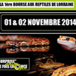 1 ère Bourse aux Reptiles de Lorraine à Verdun (55), du samedi 01 er au dimanche 02 novembre 2014
