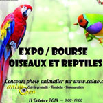 Expo-Bourse oiseaux et reptiles à Etagnières (Suisse), du samedi 11 au dimanche 12 octobre 2014