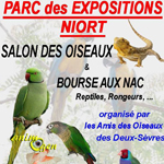41 ème Salon des oiseaux et bourse aux NAC, reptiles, rongeurs à Niort (79), du samedi 08 au dimanche 09 novembre 2014