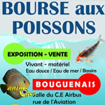 Bourse aux poissons à Bouguenais (44), le dimanche 19 octobre 2014