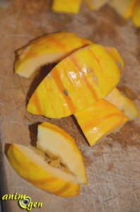 La délicatesse de la courge sweet potatoe, ou Delicata (Cucurbita pepo) pour nos perroquets