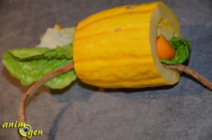 Une bûche de Noël vitaminée pour nos lapins, rongeurs et perroquets