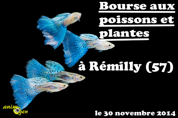 rencontre remilly