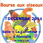 Bourse aux oiseaux à Hamipré (Belgique), le dimanche 07 décembre 2014