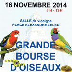 Grande Bourse d’Oiseaux à Raismes (59), le dimanche 16 novembre 2014