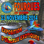 Exposition d’oiseaux exotiques à Fourques sur Garonne (47), le dimanche 23 novembre 2014
