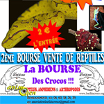 2 ème Bourse-Vente de Reptiles à Saint-Aquilin de Pacy (27120), du samedi 28 février au dimanche 1 er mars 2015