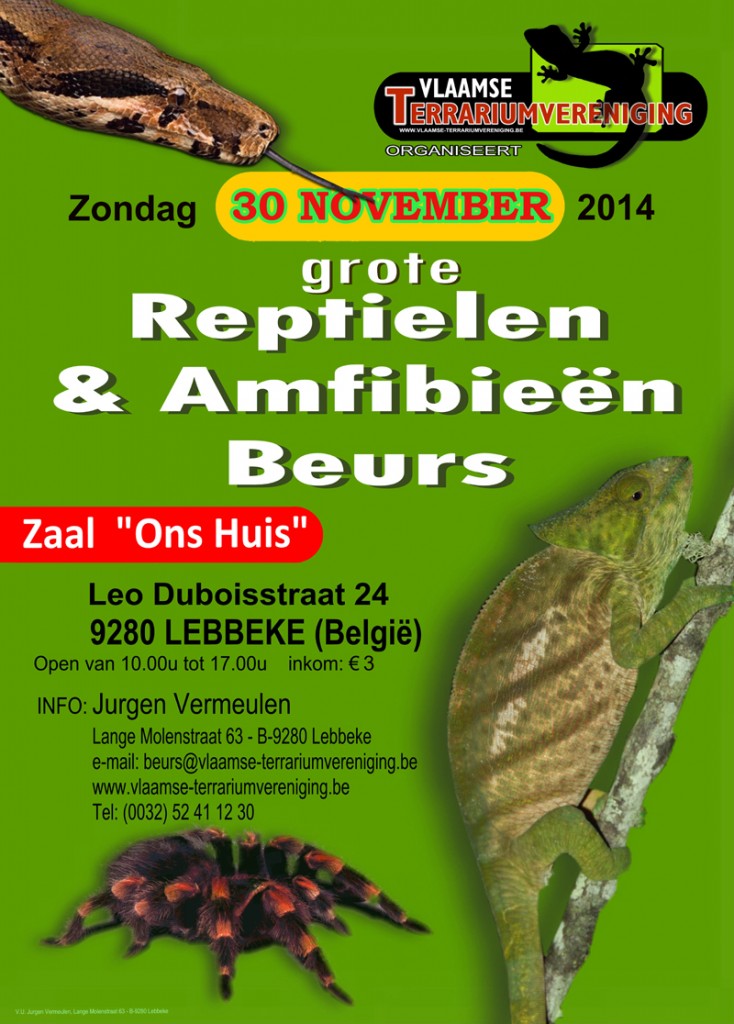 Bourse aux reptiles et amphibiens à Lebbeke (Belgique), le dimanche 30 novembre 2014