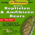 Bourse aux reptiles et amphibiens à Lebbeke (Belgique), le dimanche 30 novembre 2014