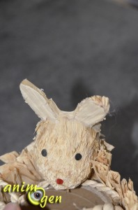 Jouet de foraging pour rongeurs et lapins : panier lapin et ses carottes (Tyrol)