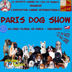 Exposition canine internationale « Paris Dog Show » à Vincennes (75) du samedi 10 au dimanche 11 janvier 2015