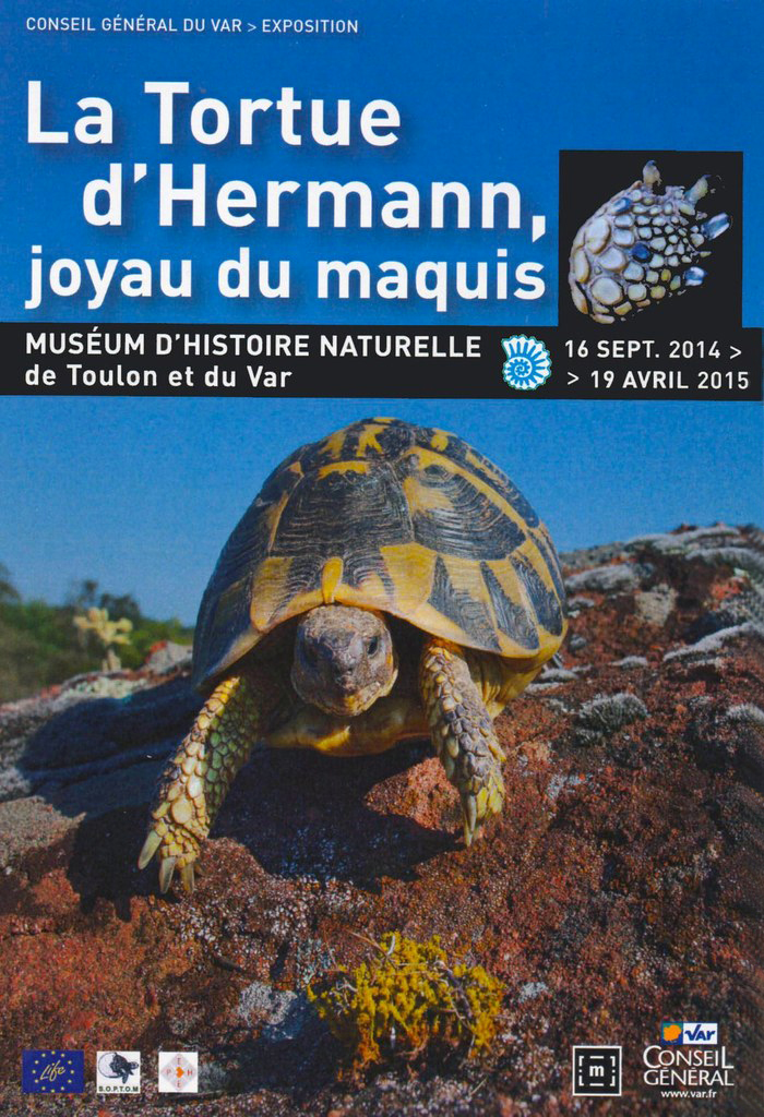 Exposition « La tortue d’Hermann, joyau du maquis » à Toulon (83), jusqu’au dimanche19 avril 2015