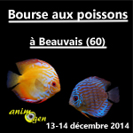 Bourse aux poissons à Beauvais (60), du samedi 13 au dimanche 14 décembre 2014