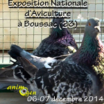 Exposition Nationale d’Aviculture à Boussac (23), du samedi 06 au dimanche 07 décembre 2014