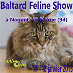 15 ème Baltard Feline Show à Nogent sur Marne (94), du samedi 17 au dimanche 18 janvier 2015