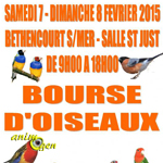 Bourse d’Oiseaux à Béthencourt sur Mer (80), du samedi 07 au dimanche 08 février 2015