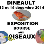 Exposition-Bourse aux oiseaux à Dineault (29), du samedi 13 au dimanche 14 décembre 2014