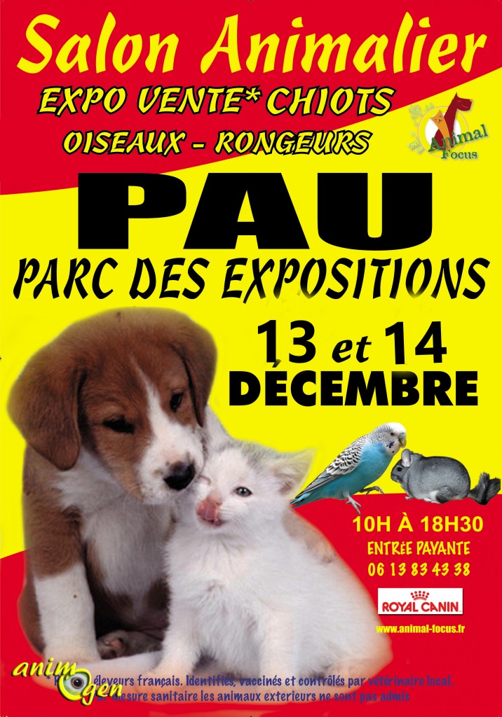 Salon du Chiot Animal Focus à Pau (81), du samedi 13 au dimanche 14 décembre 2014