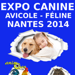 Expo canine, avicole et féline à Nantes (44), du samedi 13 au dimanche 14 décembre 2014