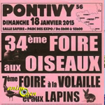 34 ème Foire aux oiseaux et 7 ème foire à la volaille et aux lapins à Pontivy (56), le dimanche 18 janvier 2015