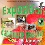 Exposition d'animaux de basse-cour aux Damps (27), du samedi 24 au dimanche 25 janvier 2015