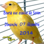Bourse aux oiseaux à Saran (45), le dimanche 07 décembre 2014