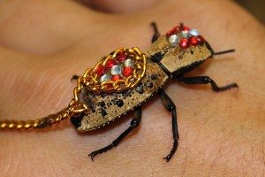Le Maquech, scarabée et bijou vivant, ou esclave des temps modernes ?