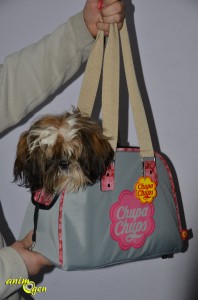 Sac de transport pour chien City Chupa Chups (test, avis, prix)