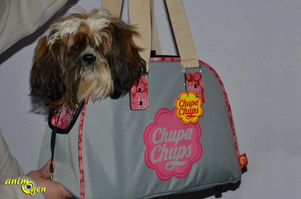 Sac de transport pour chien City Chupa Chups (test, avis, prix)