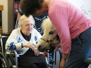 L’influence de notre stress sur les chevaux à l’étude