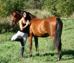 Le yoga pour les chevaux, une approche zen de l'équitation